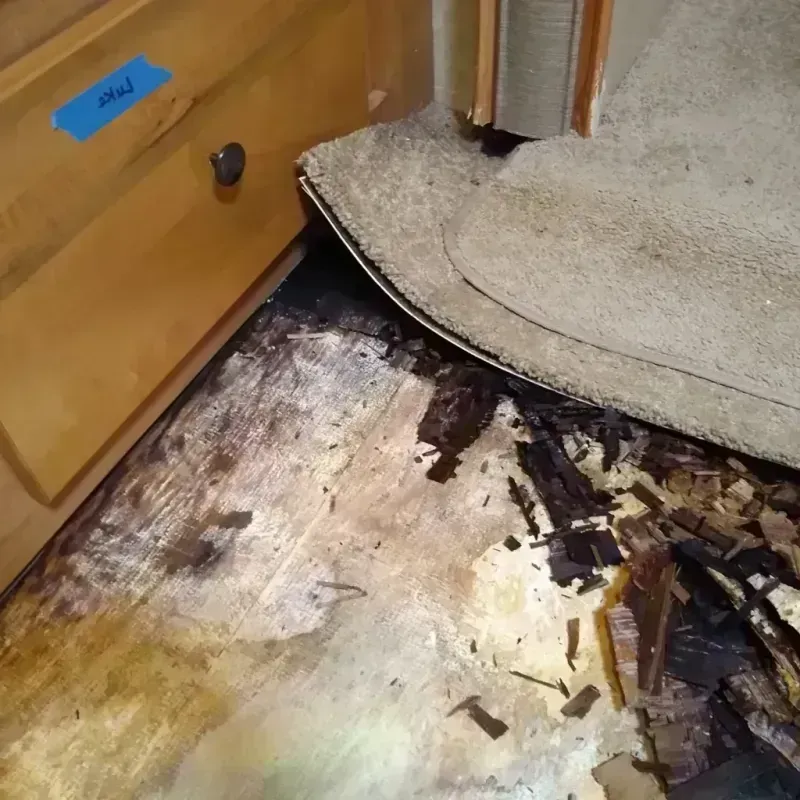 Wood Floor Water Damage in Yuma, AZ